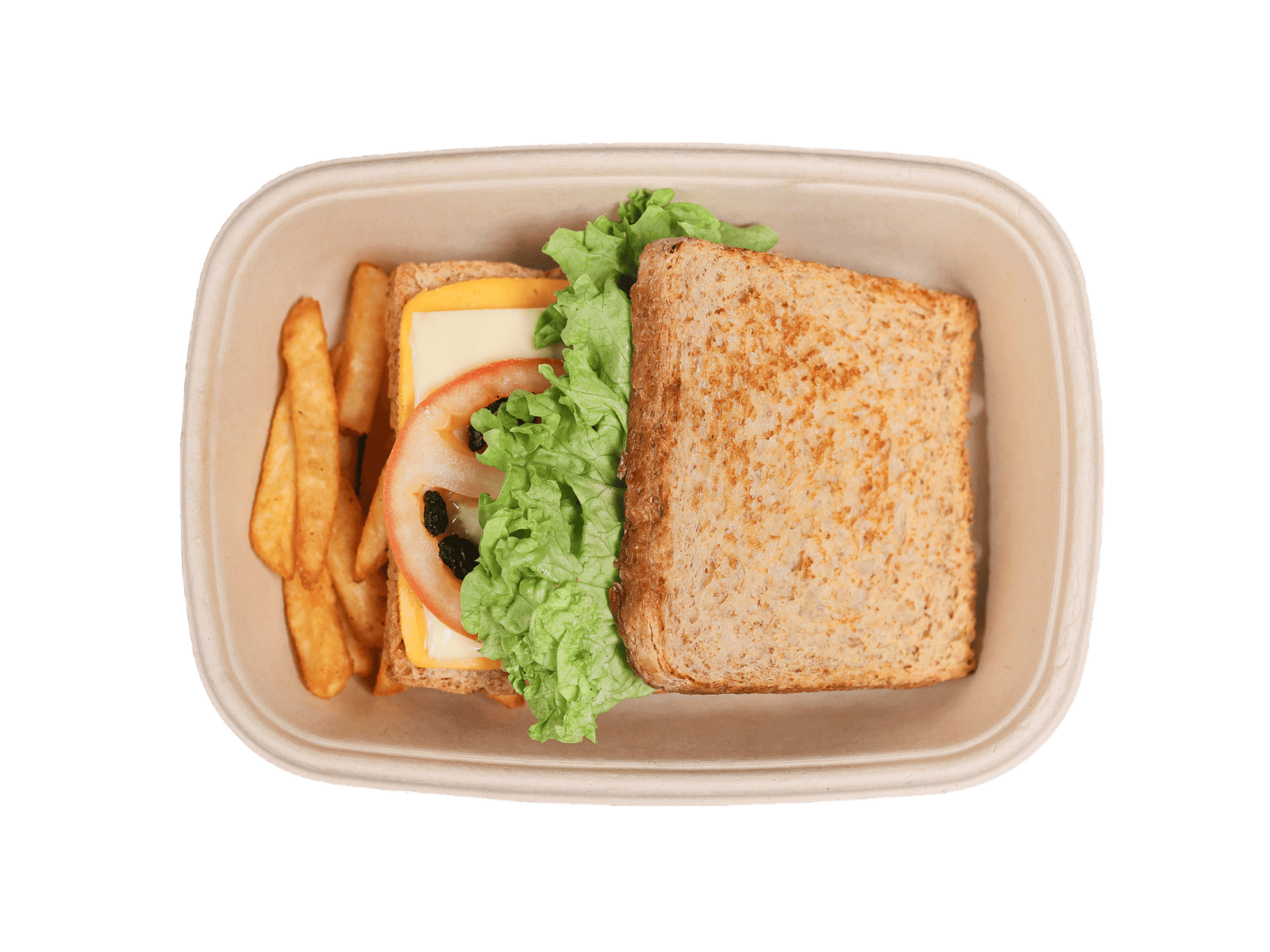 ساندويتش شرائح ديك رومي